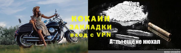 ECSTASY Белокуриха