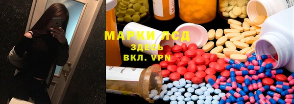 ECSTASY Белокуриха