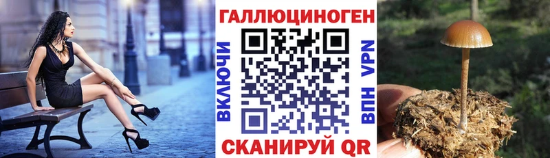 Псилоцибиновые грибы GOLDEN TEACHER Нерехта