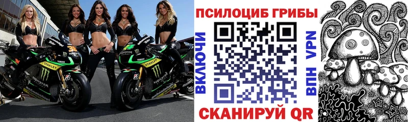 Галлюциногенные грибы прущие грибы  Нерехта 